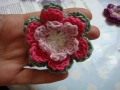 Gaynor's flower