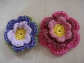 blog sarah flowers