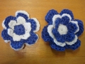 blog sue flowers