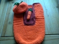 sarah carrot suit