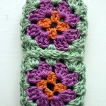 Flowers ipod Cover